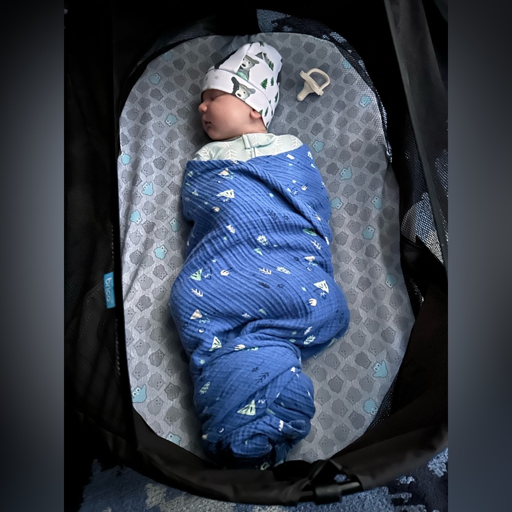 Collapsible travel bassinet